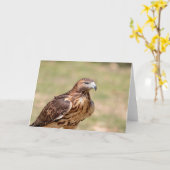 Rode hawk in de Hudson-vallei Kaart (Gele Bloem)