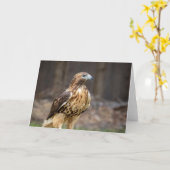 Rode hawk in de Hudson-vallei Kaart (Gele Bloem)