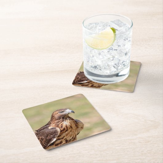 Rode hawk in de Hudson-vallei Kartonnen Onderzetters (Insitu)