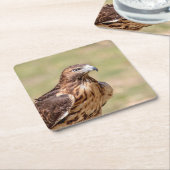 Rode hawk in de Hudson-vallei Kartonnen Onderzetters (Schuin)