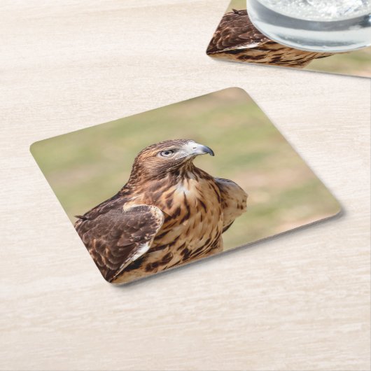 Rode hawk in de Hudson-vallei Kartonnen Onderzetters (Schuin)