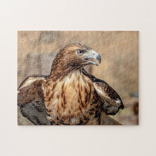 Rode hawk in de Hudson-vallei Legpuzzel (Horizontaal)
