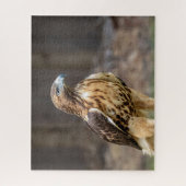 Rode hawk in de Hudson-vallei Legpuzzel (Verticaal)