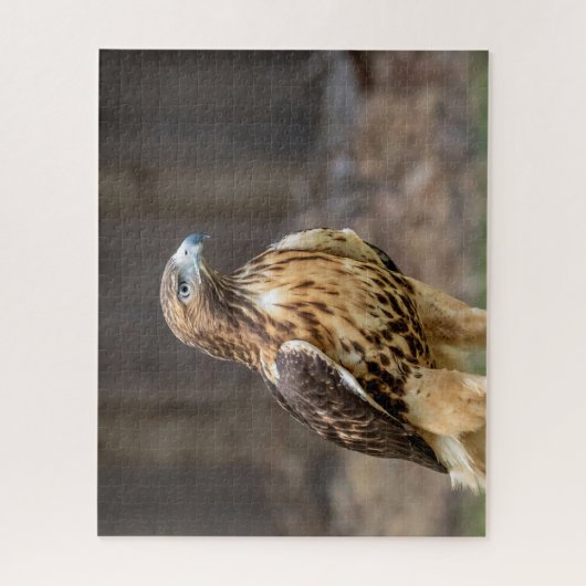 Rode hawk in de Hudson-vallei Legpuzzel (Verticaal)