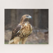 Rode hawk in de Hudson-vallei Legpuzzel (Horizontaal)