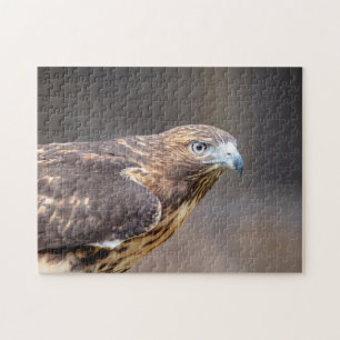 Rode hawk in de Hudson-vallei Legpuzzel
