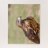 Rode hawk in de Hudson-vallei Legpuzzel (Verticaal)