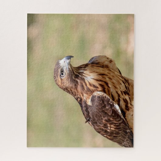 Rode hawk in de Hudson-vallei Legpuzzel (Verticaal)