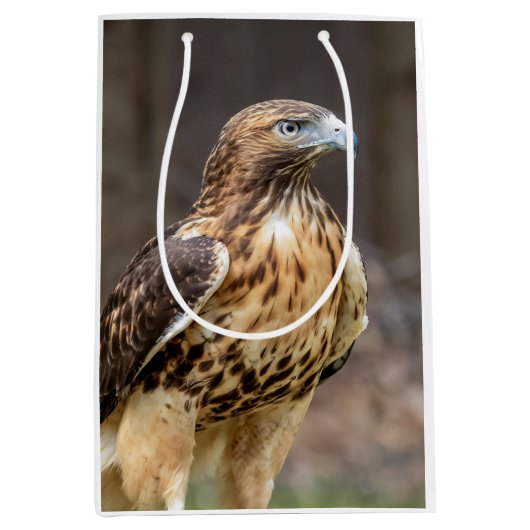 Rode hawk in de Hudson-vallei Medium Cadeauzakje (Voorkant)