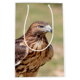 Rode hawk in de Hudson-vallei Medium Cadeauzakje