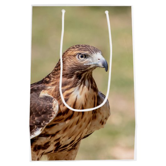 Rode hawk in de Hudson-vallei Medium Cadeauzakje (Achterkant)