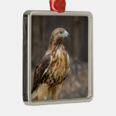 Rode hawk in de Hudson-vallei Metalen Ornament (Rechts)