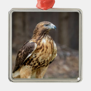 Rode hawk in de Hudson-vallei Metalen Ornament