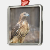 Rode hawk in de Hudson-vallei Metalen Ornament (Links)