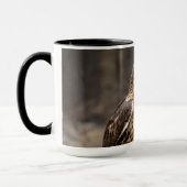 Rode hawk in de Hudson-vallei Mok (Links)