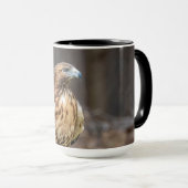 Rode hawk in de Hudson-vallei Mok (Voorkant rechts)