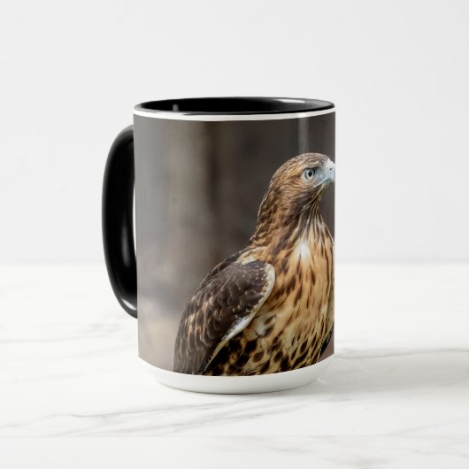 Rode hawk in de Hudson-vallei Mok (Voorkant links)