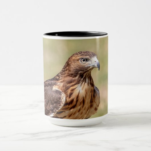 Rode hawk in de Hudson-vallei Mok (Midden)