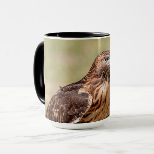 Rode hawk in de Hudson-vallei Mok (Voorkant links)