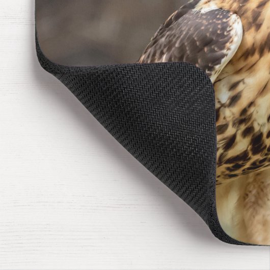 Rode hawk in de Hudson-vallei Muismat (Hoek)