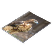 Rode hawk in de Hudson-vallei Notitieboek (Linkerzijde)