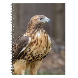 Rode hawk in de Hudson-vallei Notitieboek