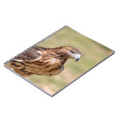 Rode hawk in de Hudson-vallei Notitieboek (Linkerzijde)