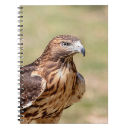 Rode hawk in de Hudson-vallei Notitieboek