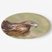 Rode hawk in de Hudson-vallei Papieren Bordje (Gekanteld)