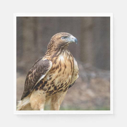 Rode hawk in de Hudson-vallei Servet (Voorkant)