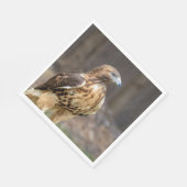 Rode hawk in de Hudson-vallei Servet (Hoek)
