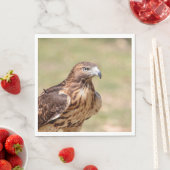 Rode hawk in de Hudson-vallei Servet (Insitu)