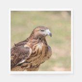 Rode hawk in de Hudson-vallei Servet (Voorkant)