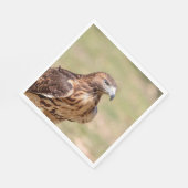 Rode hawk in de Hudson-vallei Servet (Hoek)