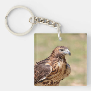 Rode hawk in de Hudson-vallei Sleutelhanger