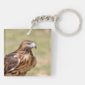 Rode hawk in de Hudson-vallei Sleutelhanger (Achterkant)