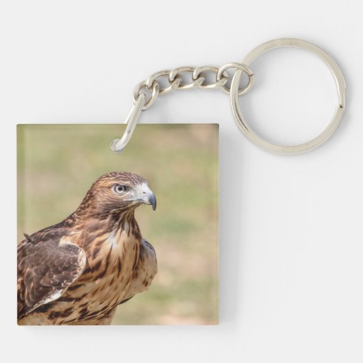 Rode hawk in de Hudson-vallei Sleutelhanger (Achterkant)