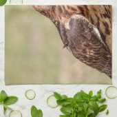 Rode hawk in de Hudson-vallei Theedoek (Gevouwen)