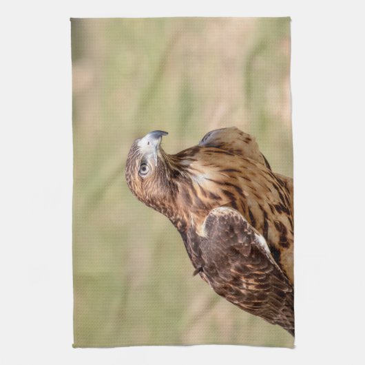 Rode hawk in de Hudson-vallei Theedoek (Verticaal)