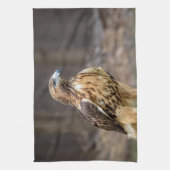 Rode hawk in de Hudson-vallei Theedoek (Verticaal)