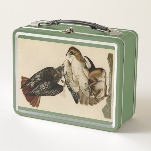 Rode Hawk uit de Amerikaanse vogels van Audubon (Voorkant)