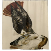 Rode Hawk uit de Amerikaanse vogels van Audubon Douchegordijn (Voorkant)