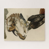 Rode Hawk uit de Amerikaanse vogels van Audubon Legpuzzel (Horizontaal)