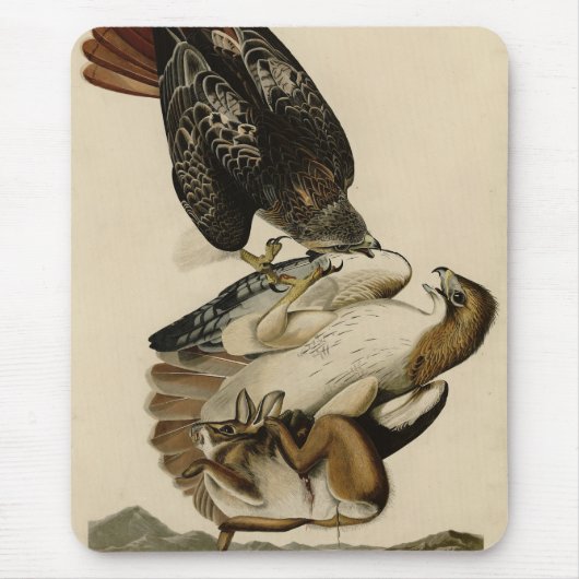 Rode Hawk uit de Amerikaanse vogels van Audubon Muismat (Voorkant)