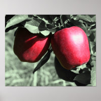 Rode heerlijke appels op de gedeeltelijke kleur va