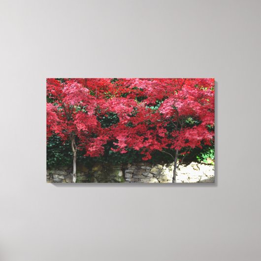 Rode herfst bomen canvas Print (Voorkant)