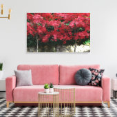 Rode herfst bomen canvas Print (Insitu (Woonkamer))