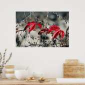 Rode herfst canvas print (Keuken)