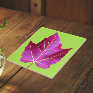 Rode herfst esdoornblad op groene bloemen tegeltje