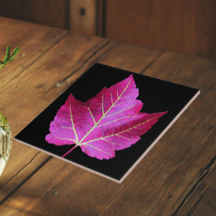Rode herfst esdoornblad op zwarte achtergrond tegeltje